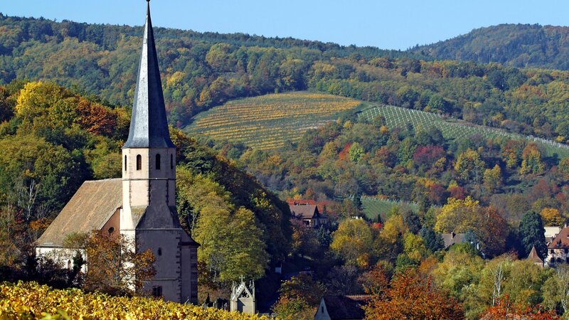 Church in autumnal vineyard landscape