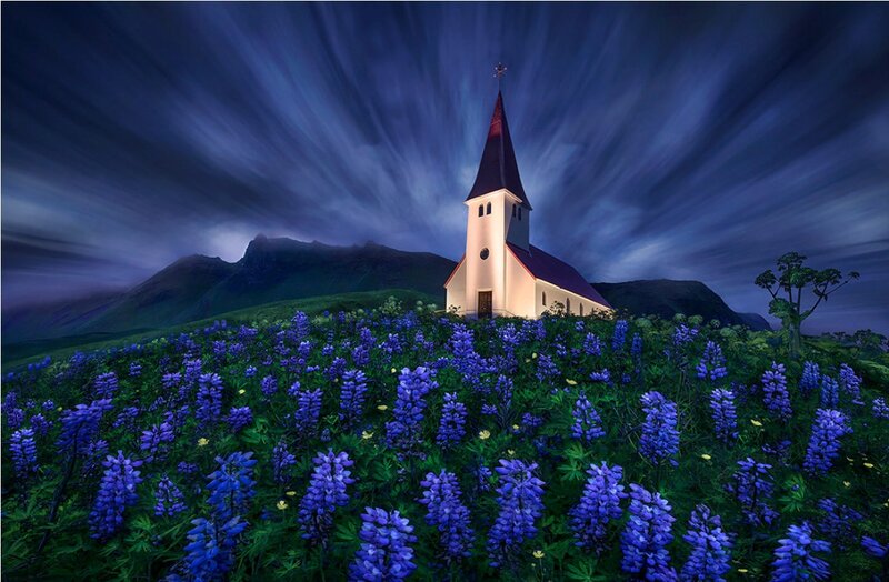 Church in Flower Field — Blue, Dramatic
