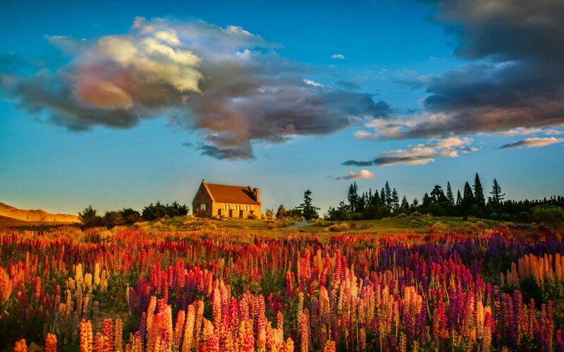 Church in Flower Field — Blue