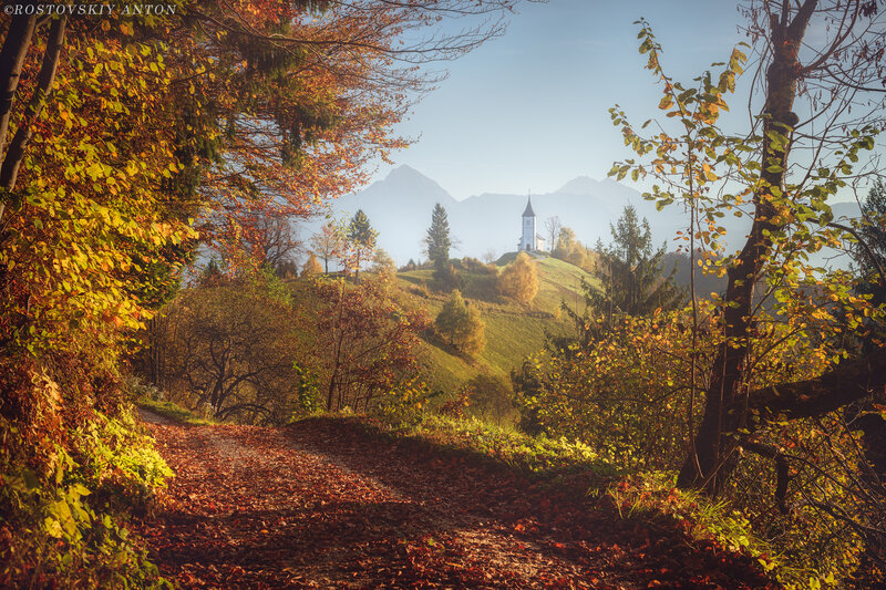 Church on a Hill — Green, Serene, Autumn, Photograph