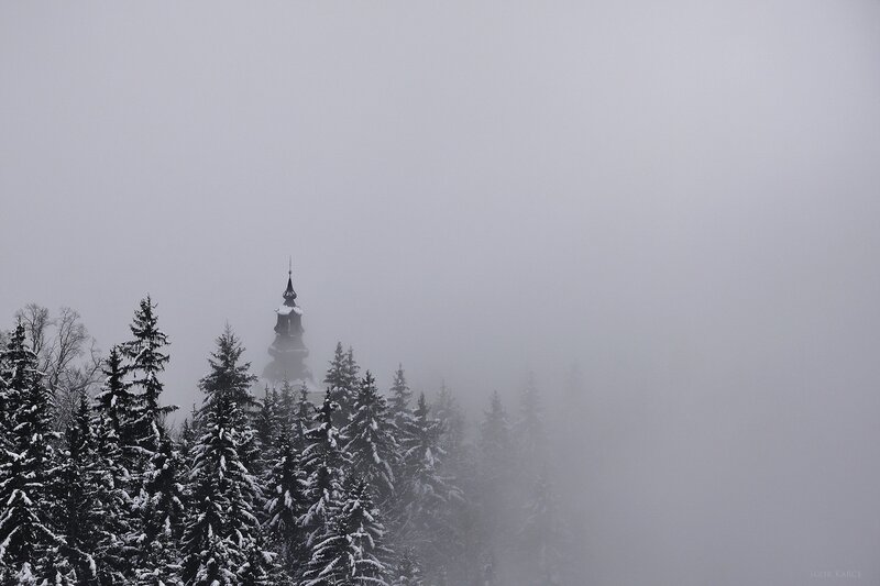 Church Steeple in Forest