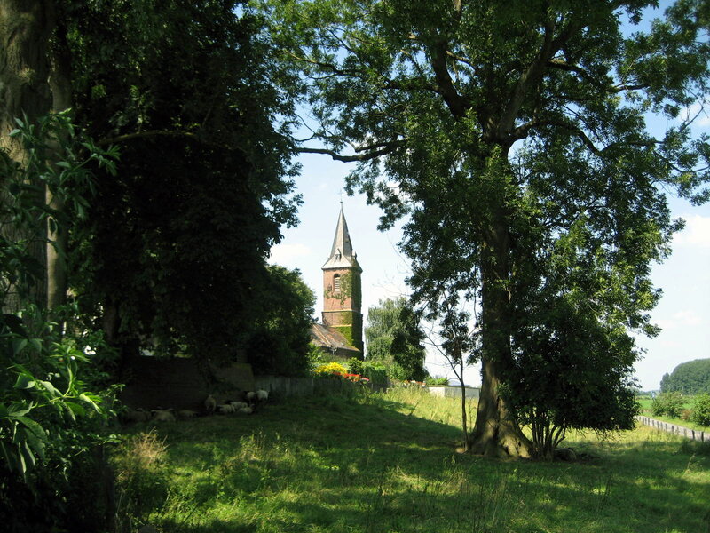 Church Steeple Through Trees