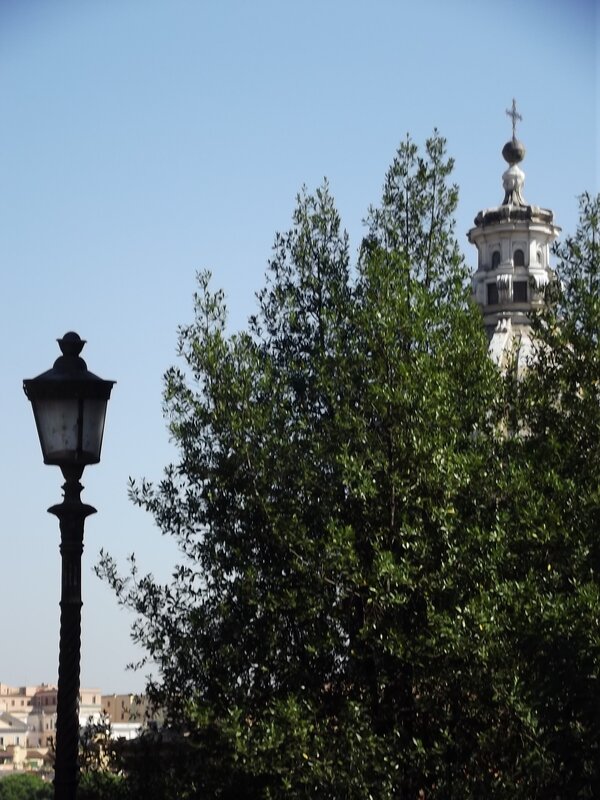 Church Tower Behind Tree