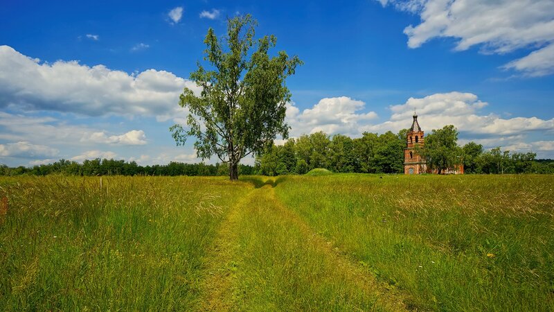 Church Tower in Field