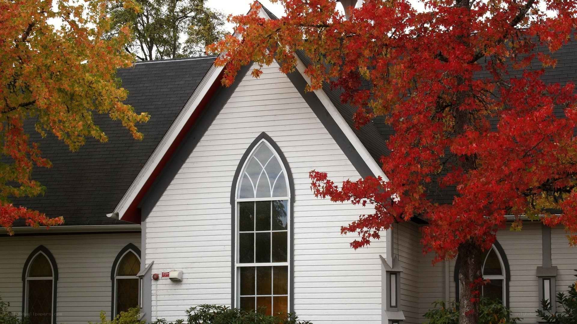 church with autumn trees