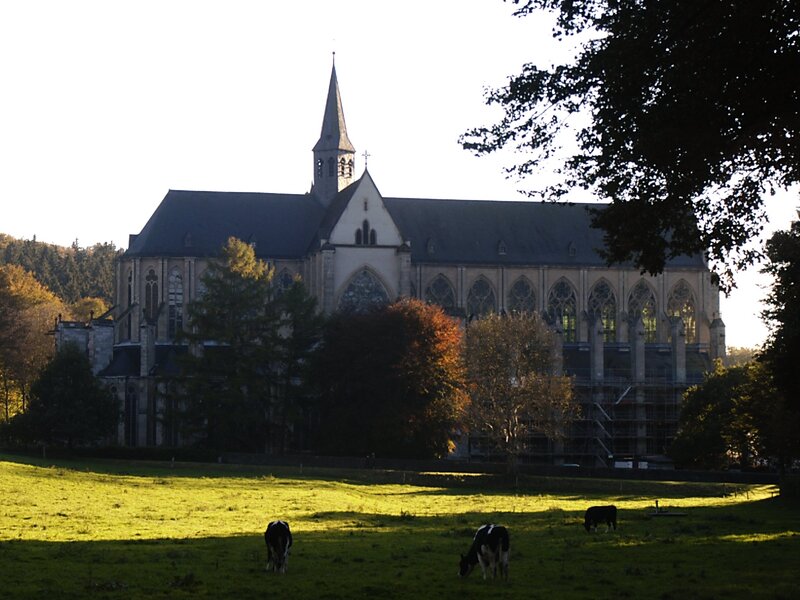 Church with cows in a field