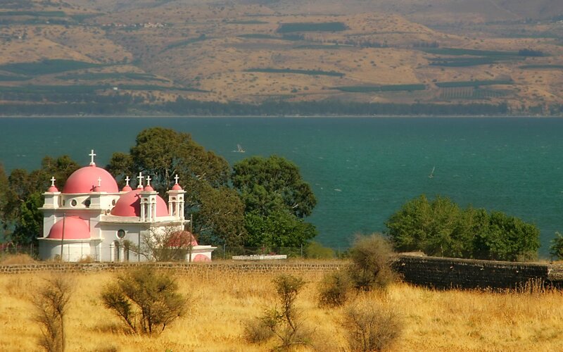 Church with Pink Domes