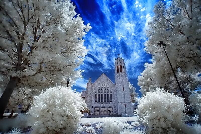 Church with White Trees