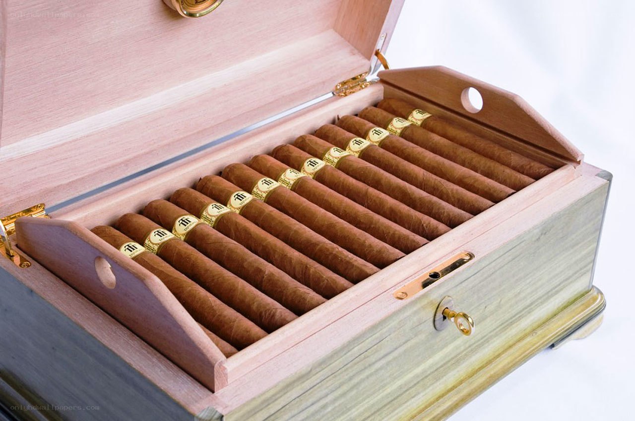 Cigar humidor with cigars