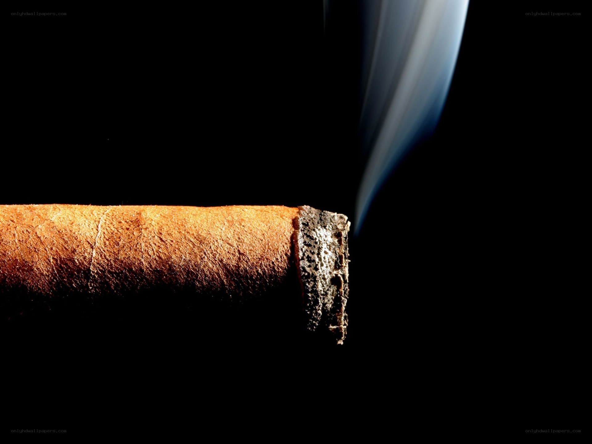 cigar smoking close-up