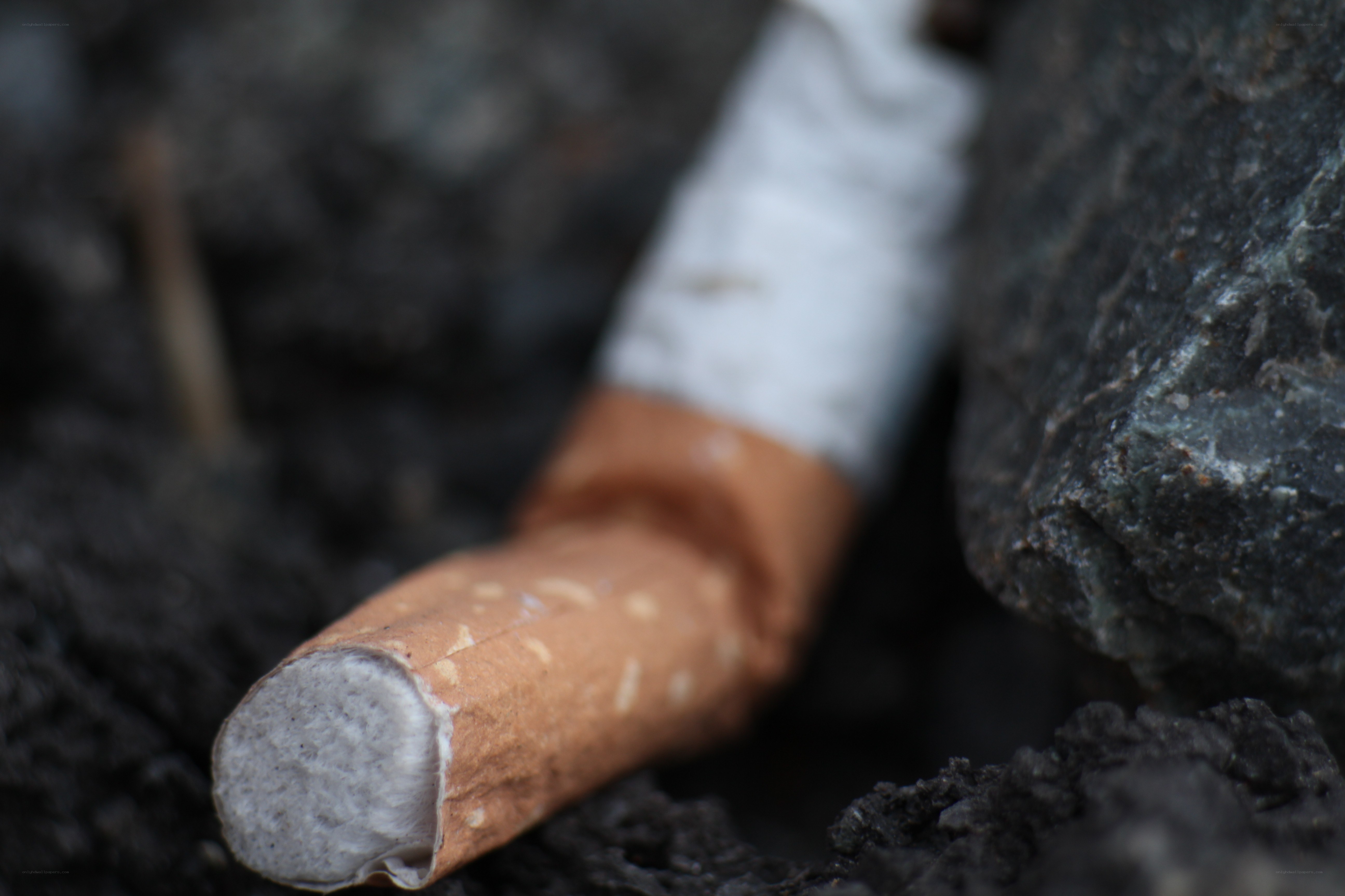 cigarette butt on ground
