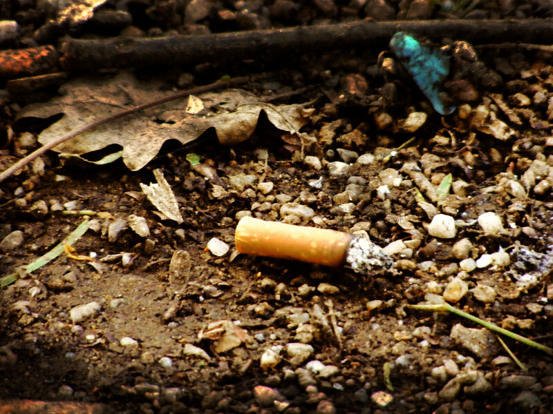 Cigarette butt on ground