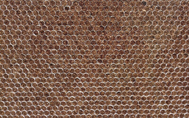cigarette butt pattern