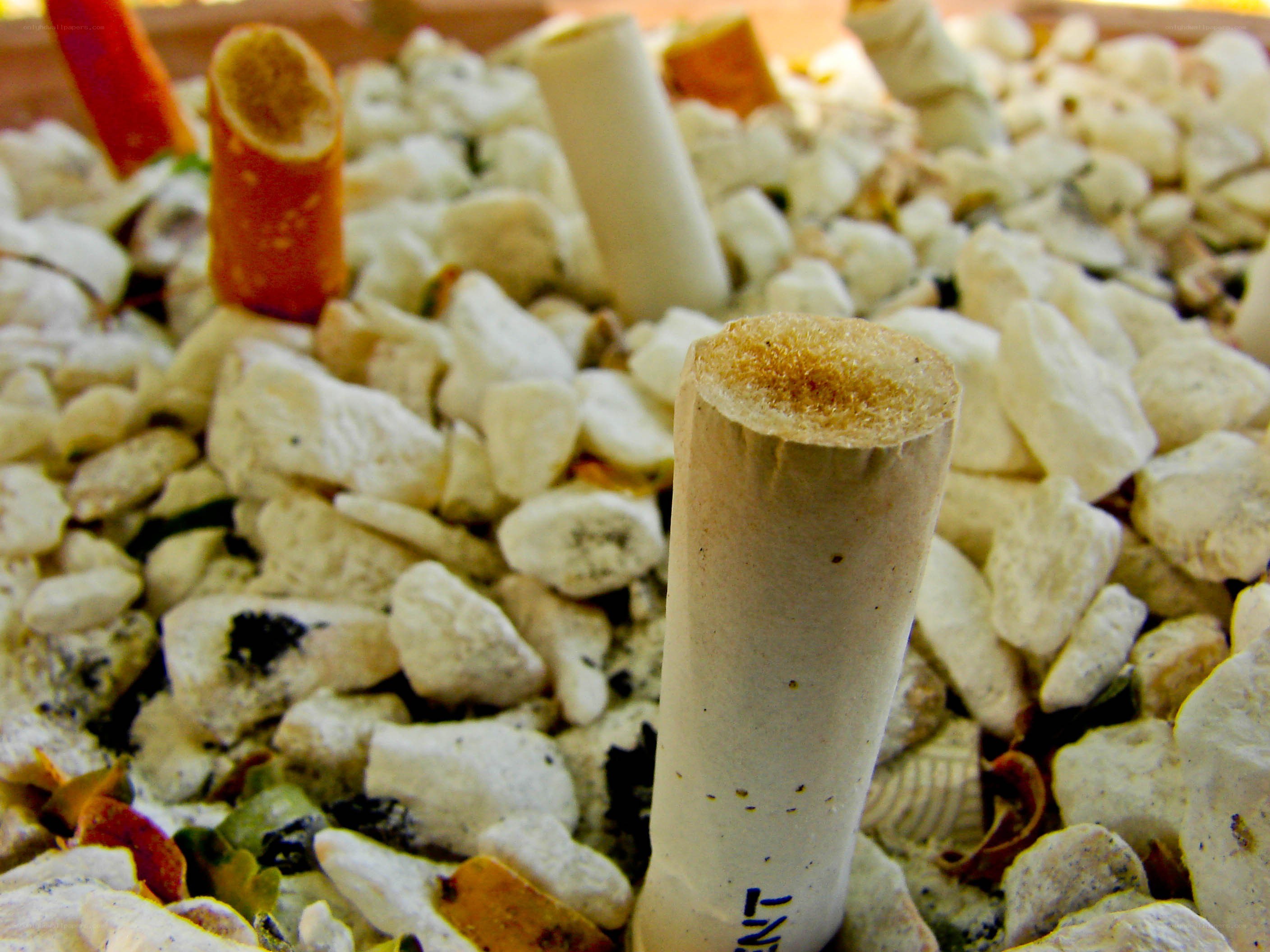 cigarette butts in a ashtray