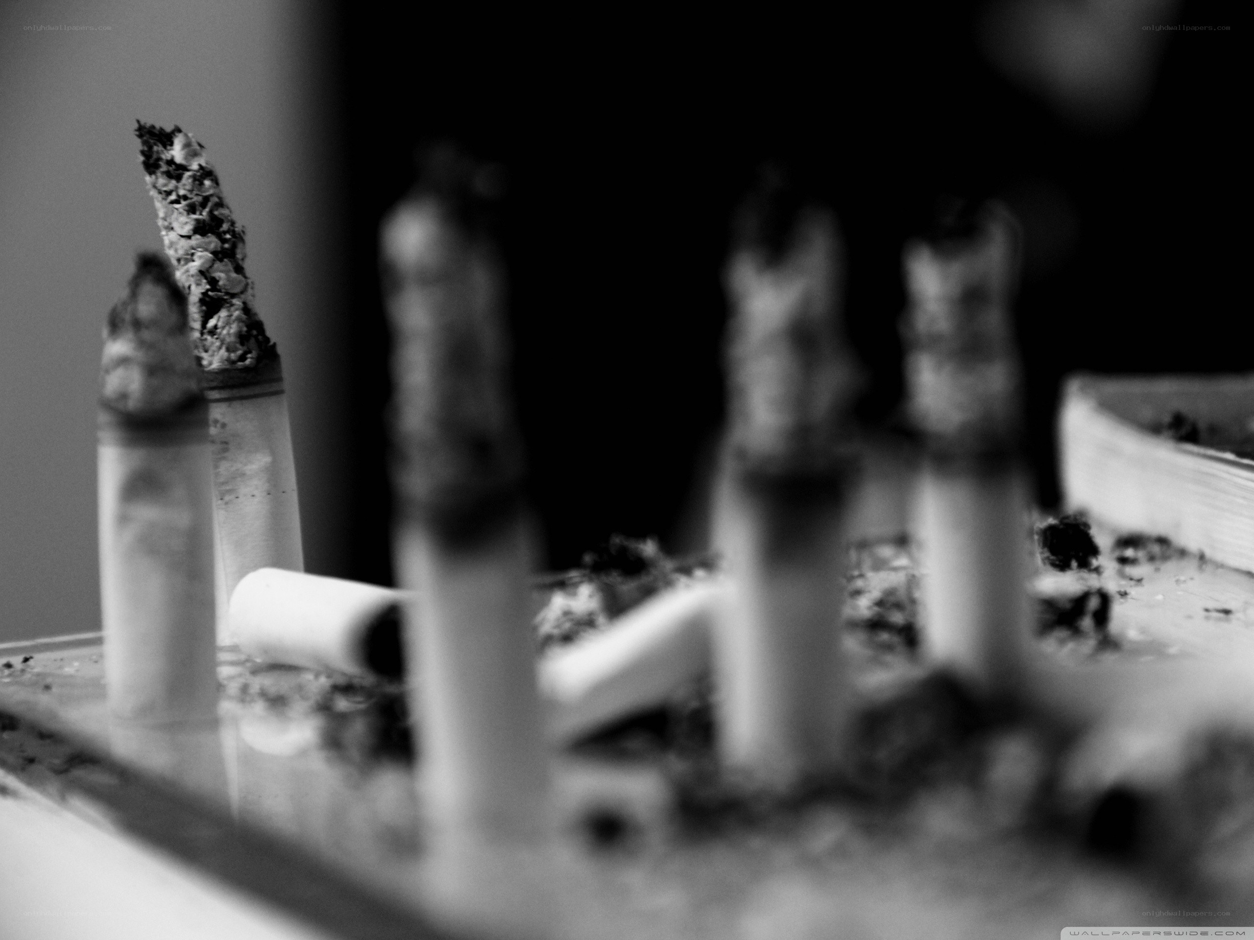 Cigarette butts in an ashtray