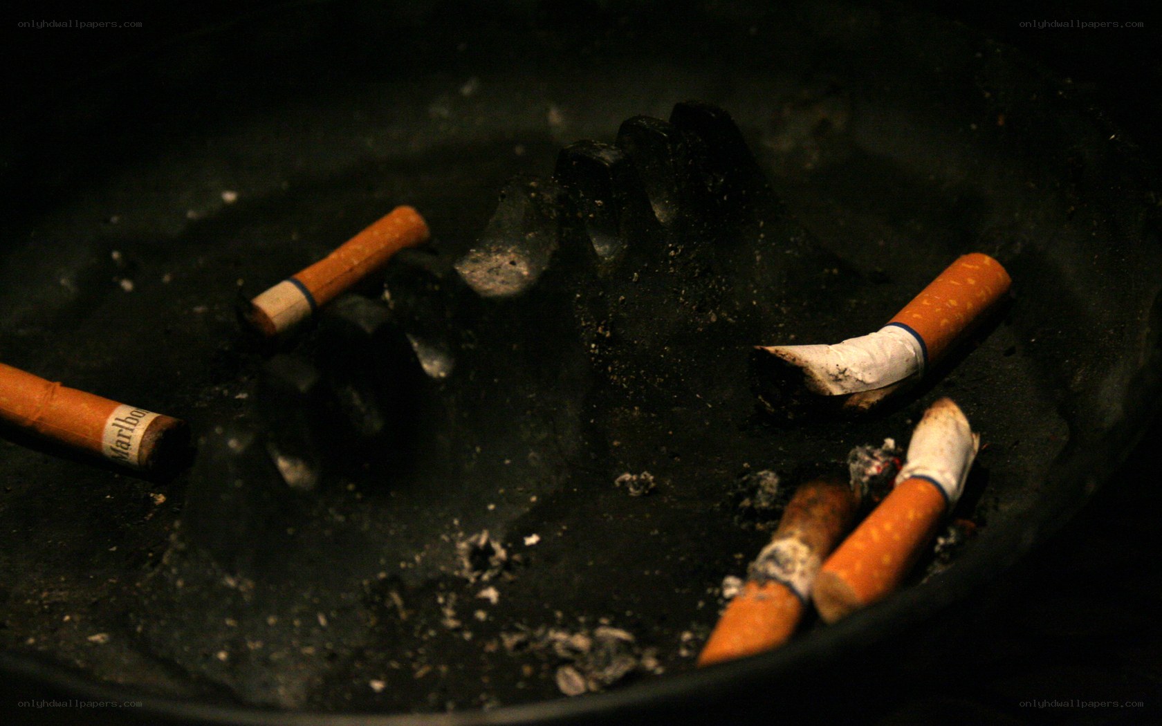 Cigarette butts in an ashtray
