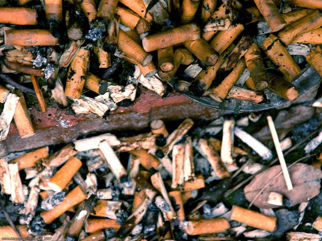 cigarette butts in ashtray