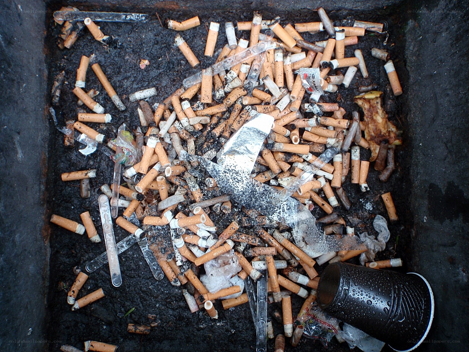 cigarette butts in ashtray