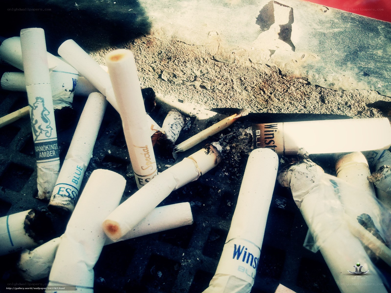 cigarette butts in ashtray