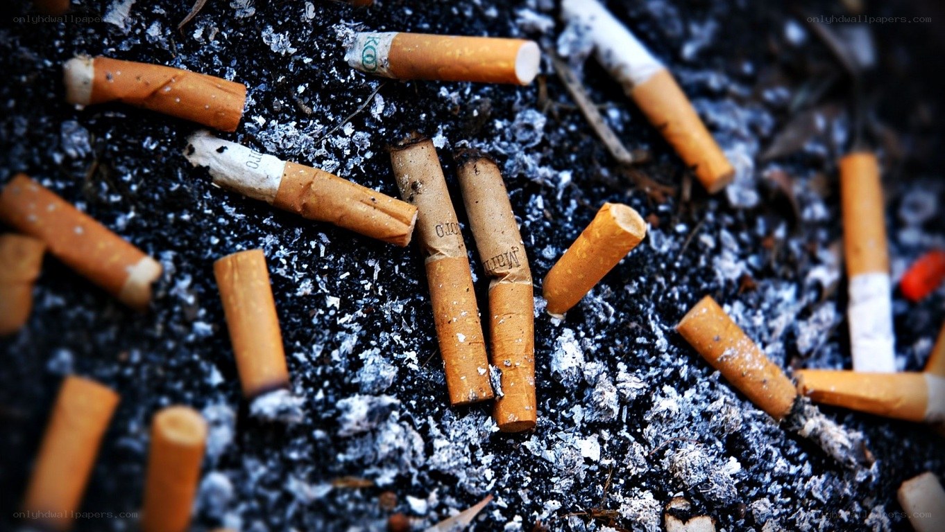Cigarette butts on ash