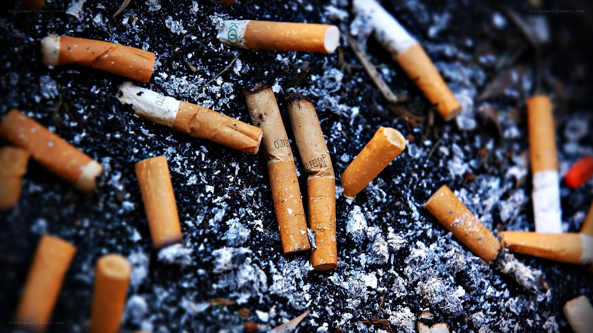 Cigarette butts on ash