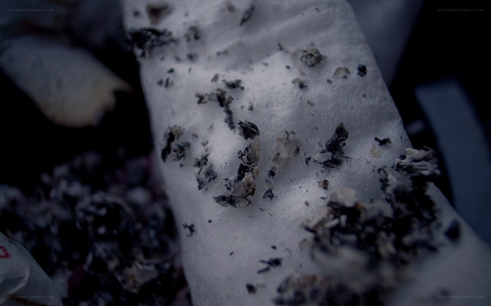 Cigarette butts on paper