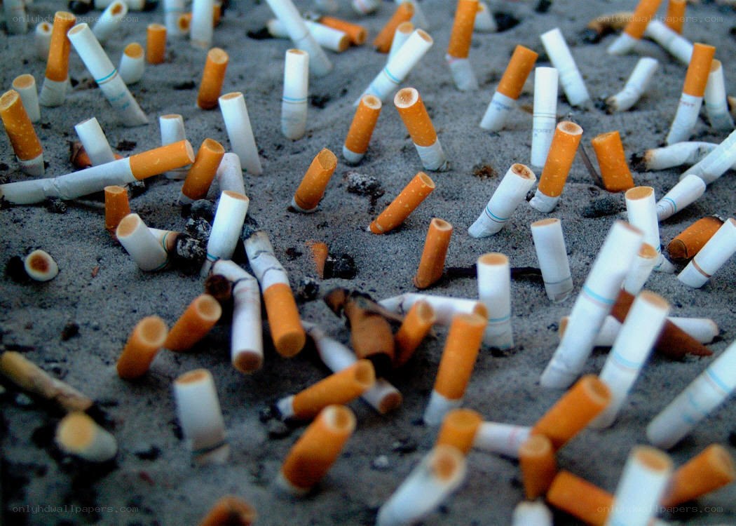 cigarette butts on the ground
