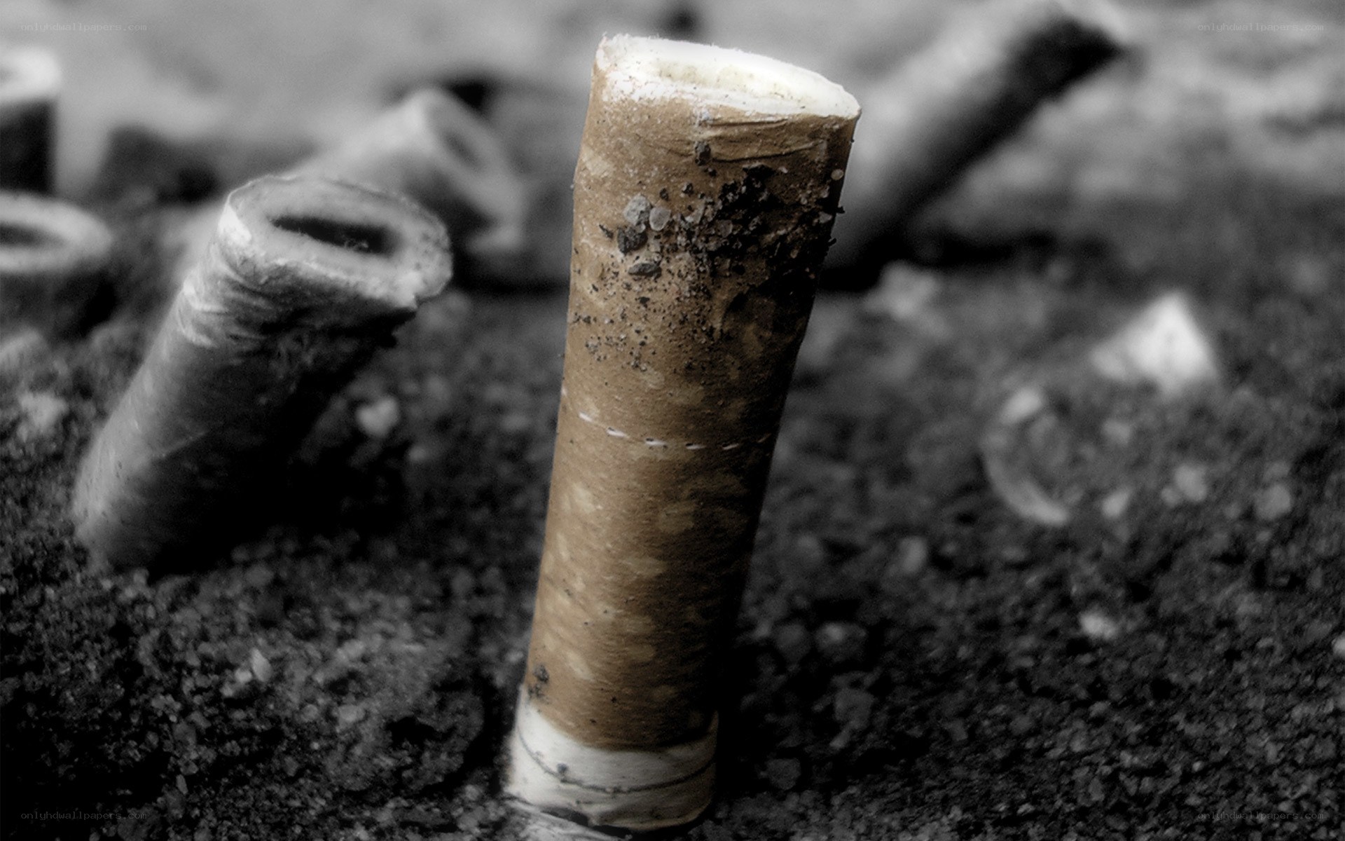 Cigarette butts on the ground