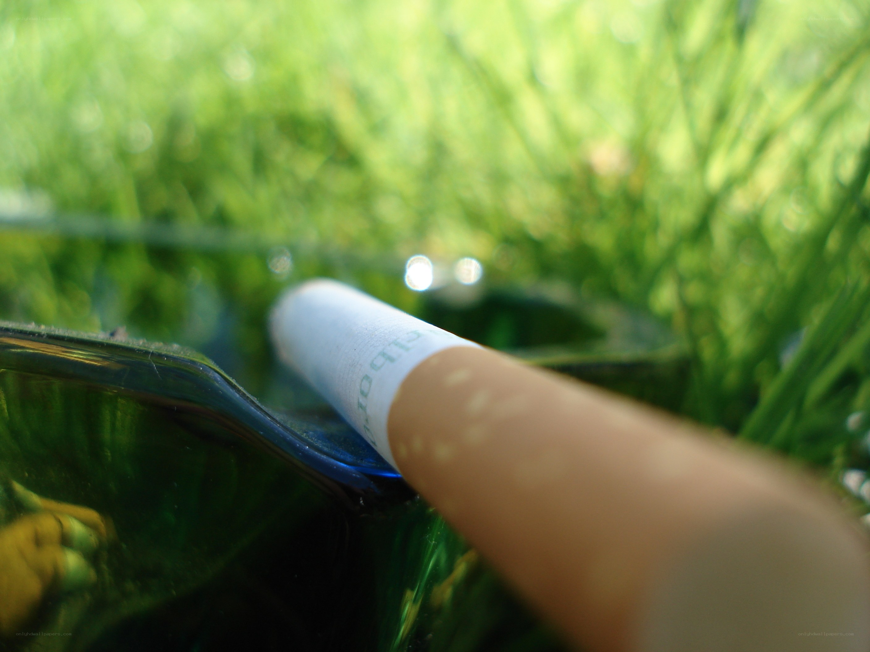 cigarette in ashtray on grass