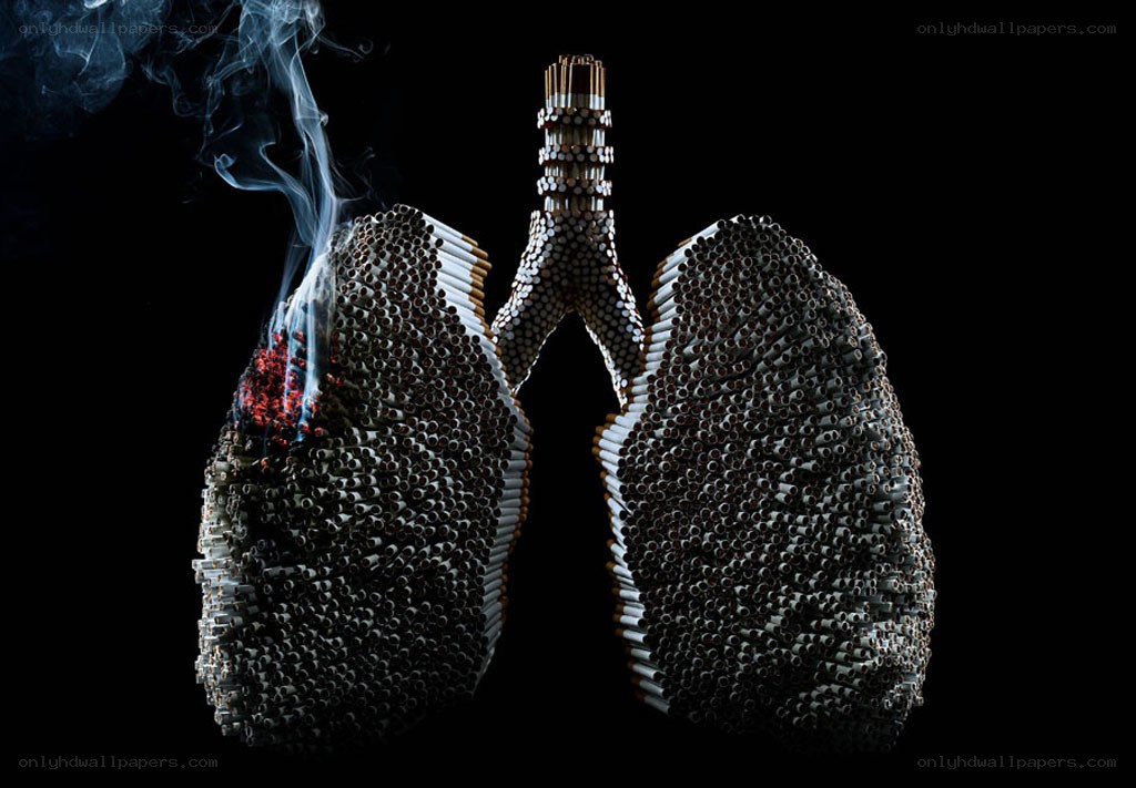 Cigarette lungs with smoke