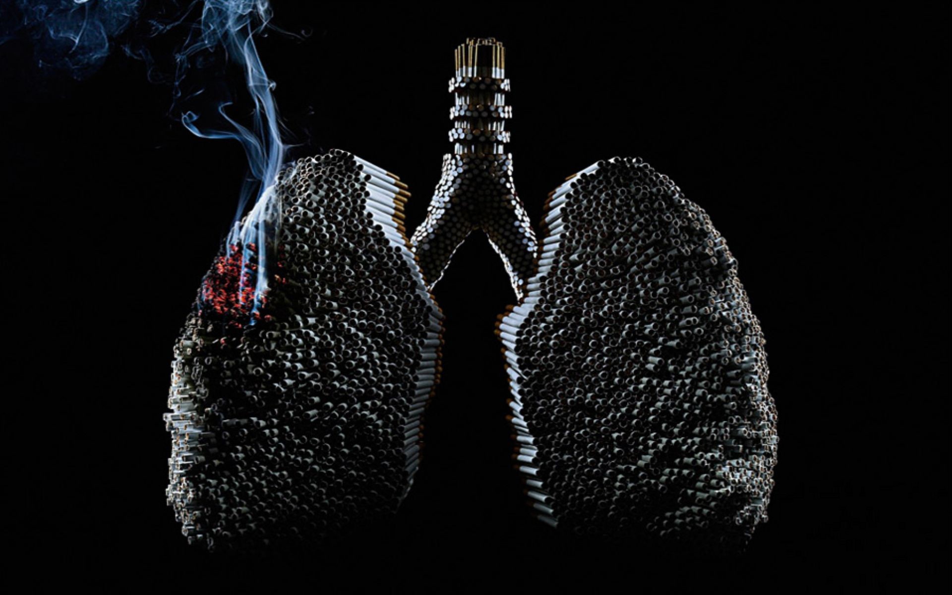 Cigarette lungs with smoke