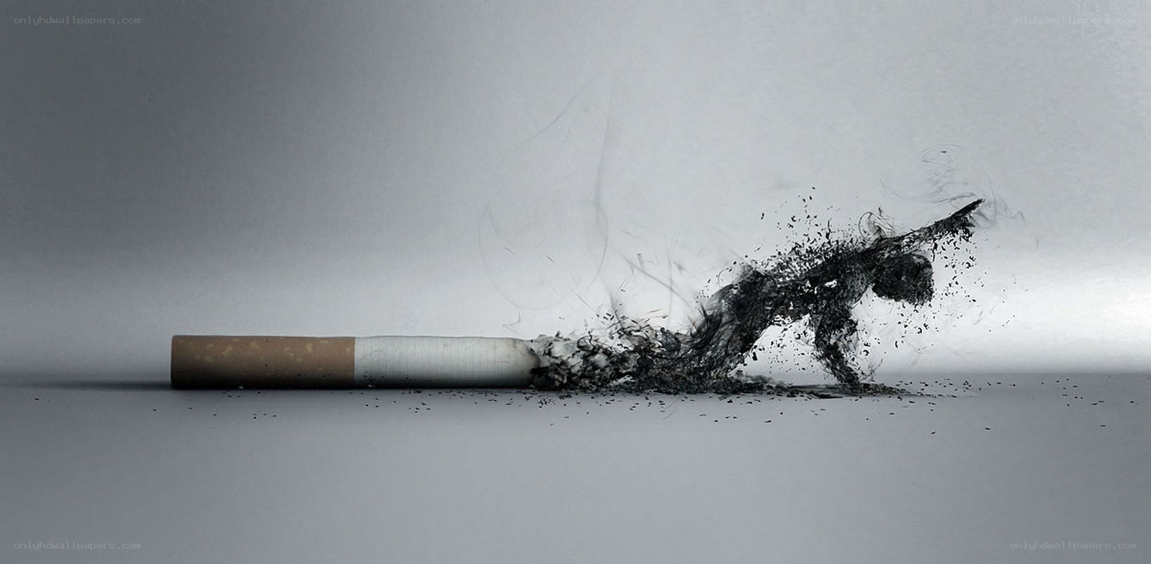 cigarette smoke forming a figure