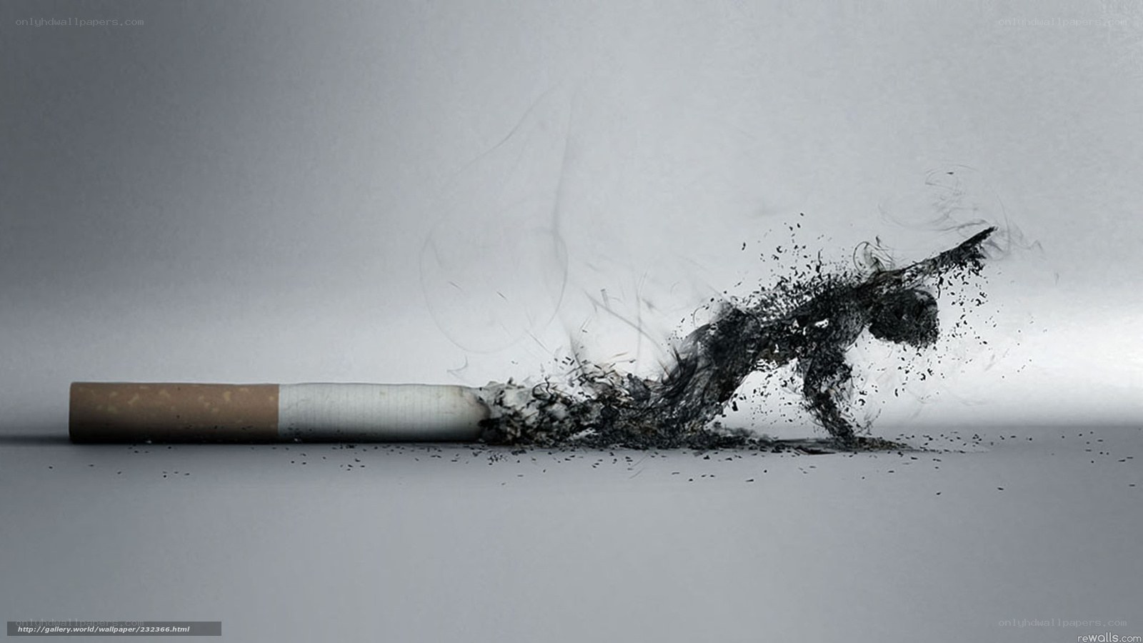 cigarette smoke forming a figure