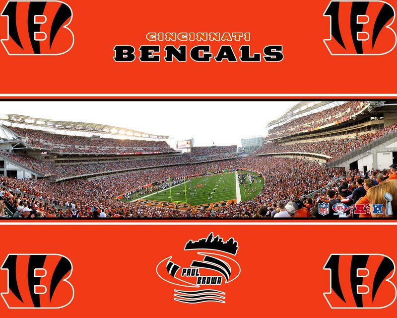 Cincinnati Bengals Game