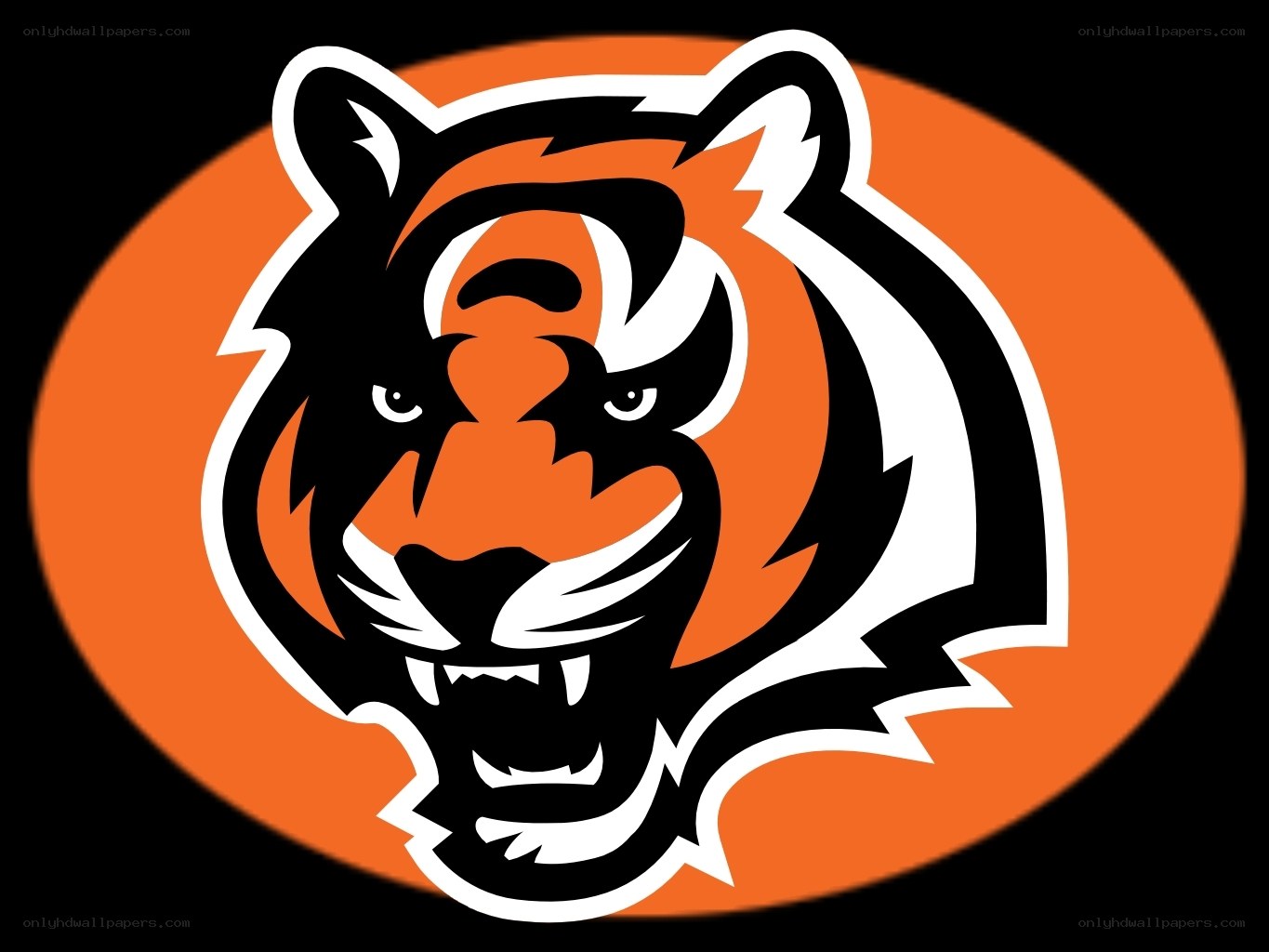 Cincinnati Bengals logo