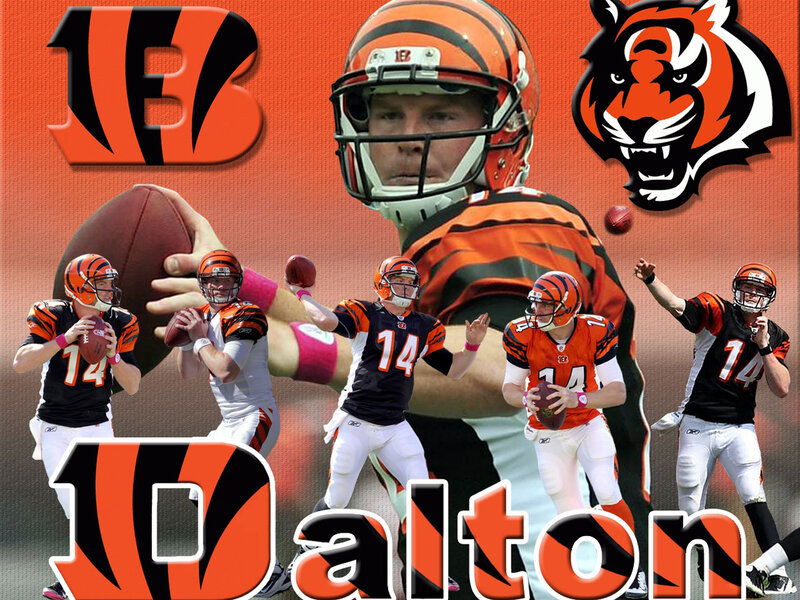 Cincinnati Bengals Player