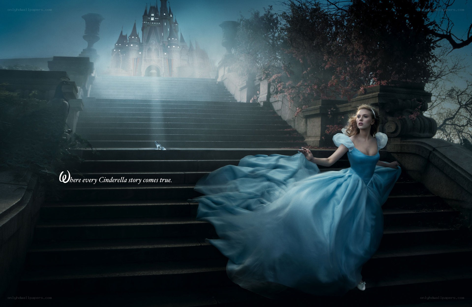 Cinderella at the castle steps