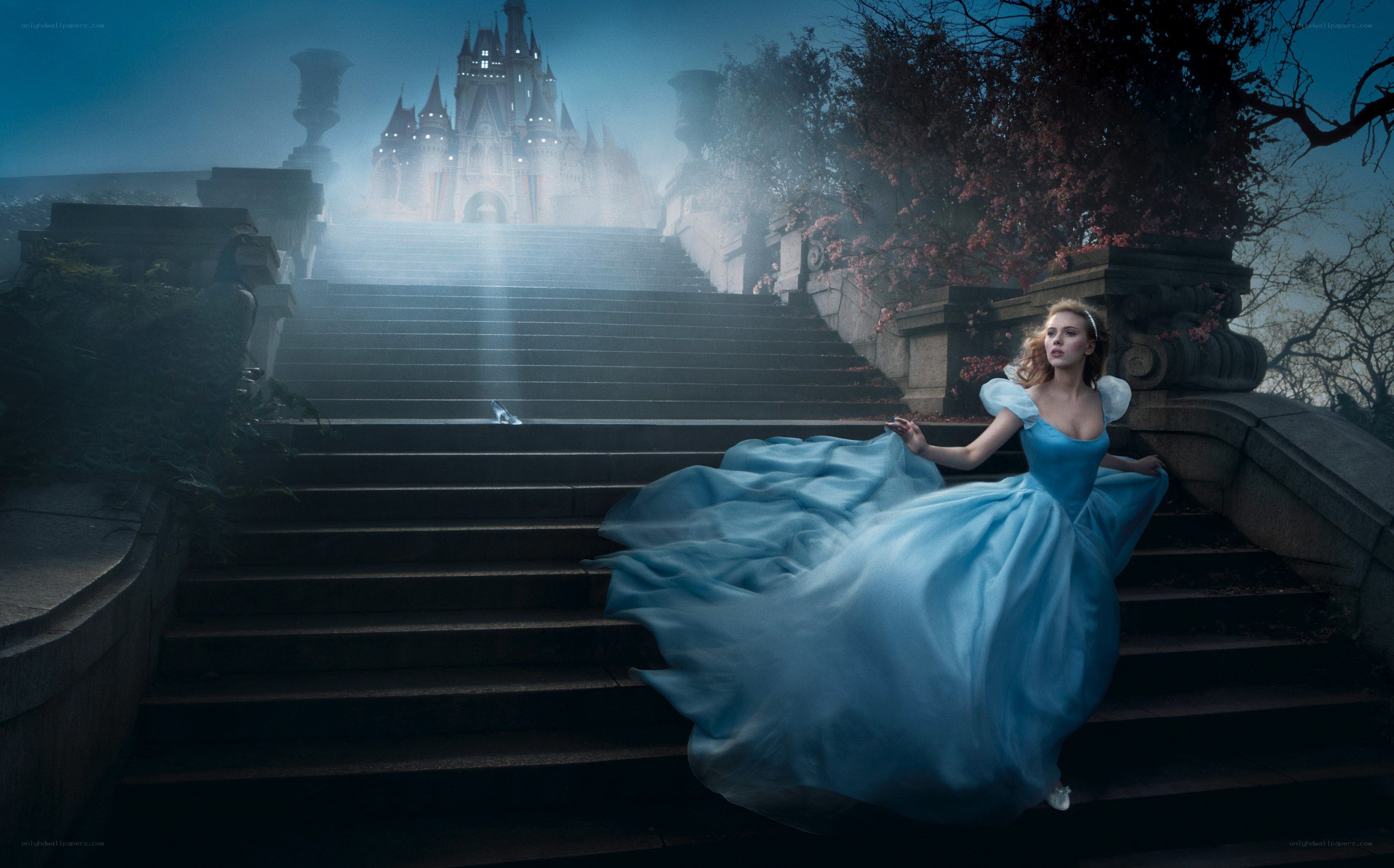 Cinderella at the castle steps