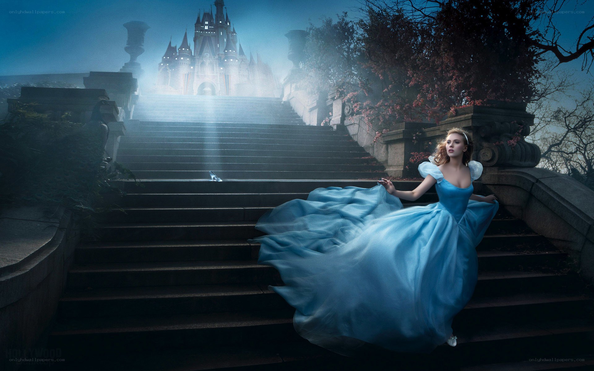 Cinderella at the castle steps