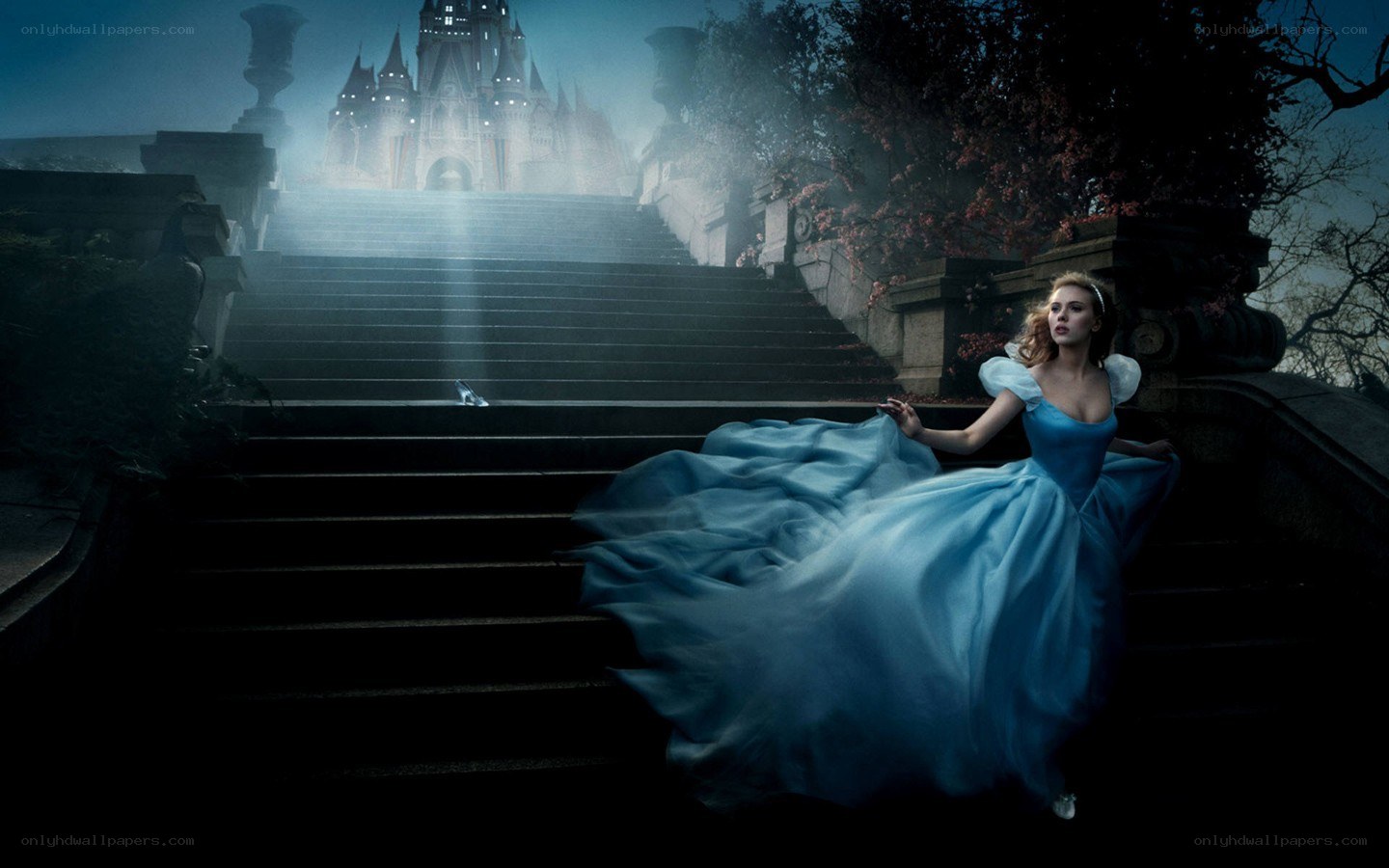 Cinderella at the castle steps
