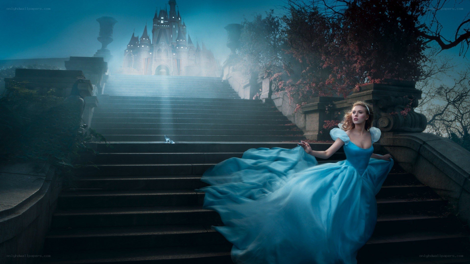 Cinderella at the castle steps