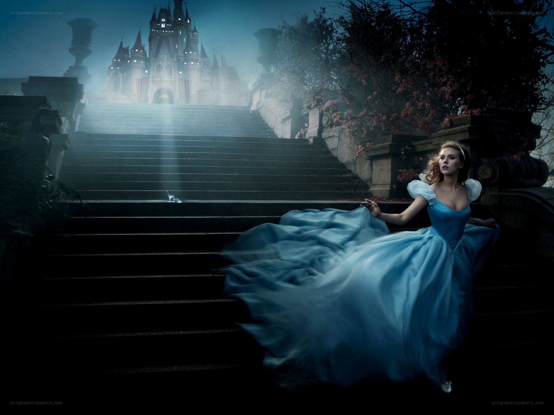Cinderella at the castle steps