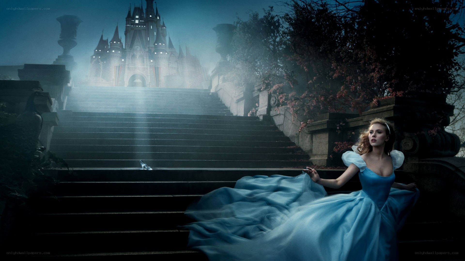 Cinderella at the castle steps