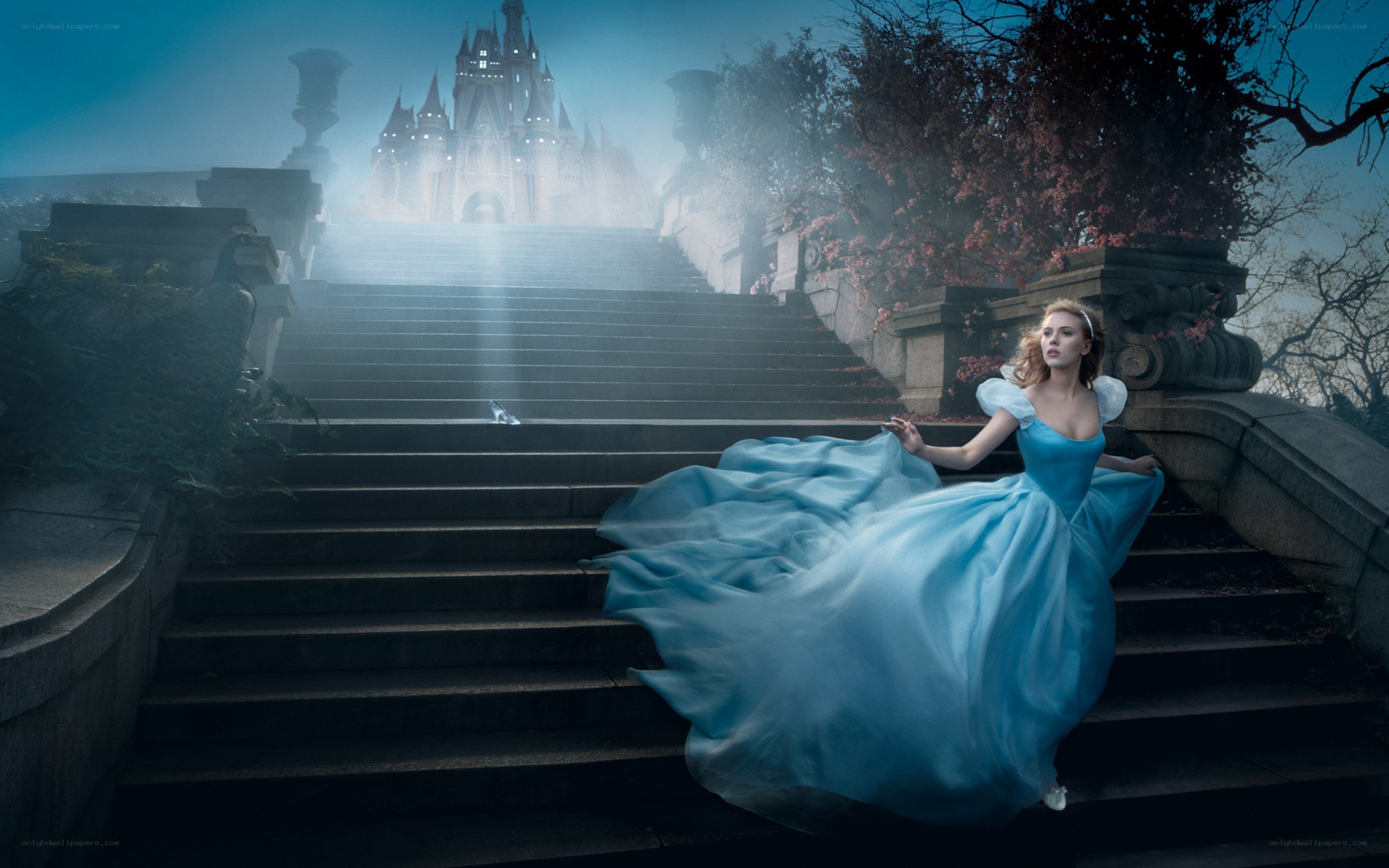 Cinderella at the castle steps