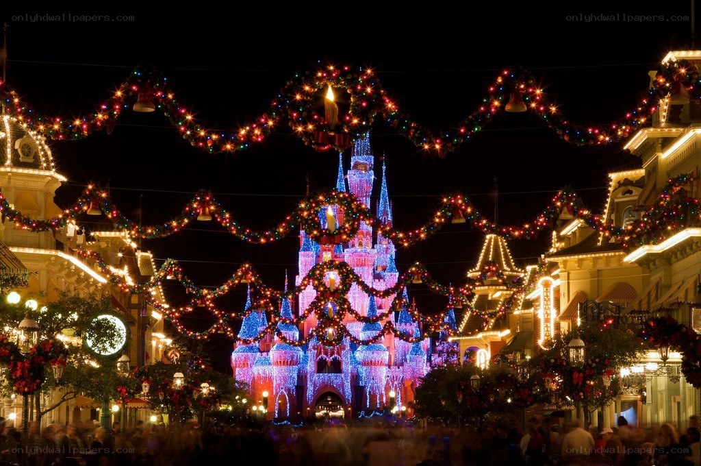Cinderella Castle at night