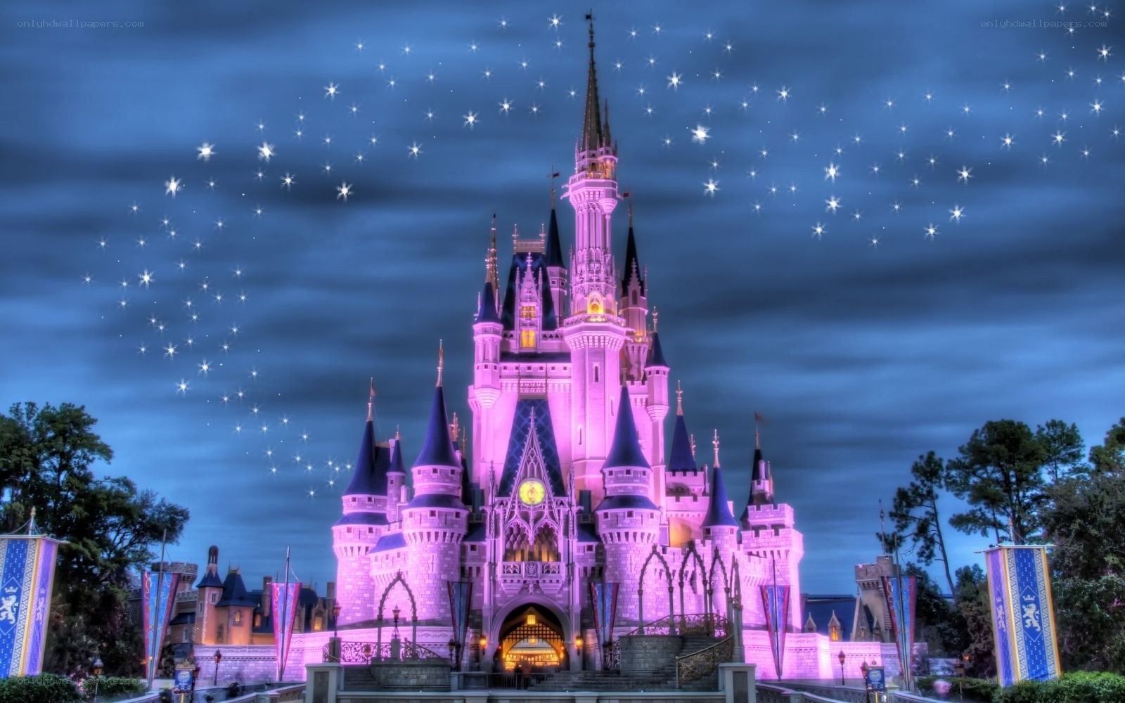 Cinderella Castle at night