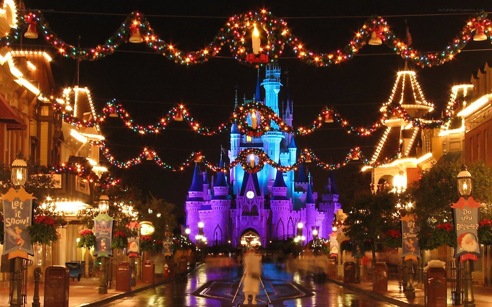 Cinderella Castle at night