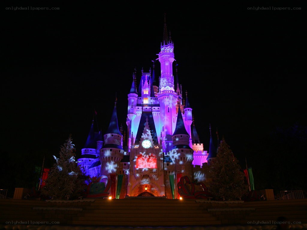 Cinderella Castle at night