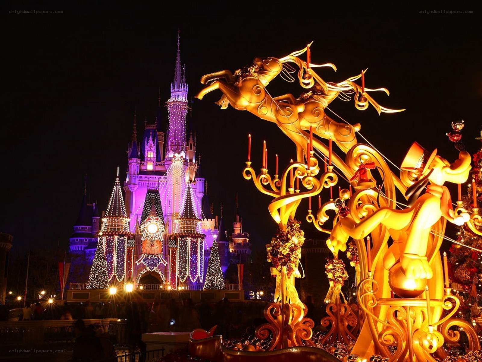 Cinderella Castle at night
