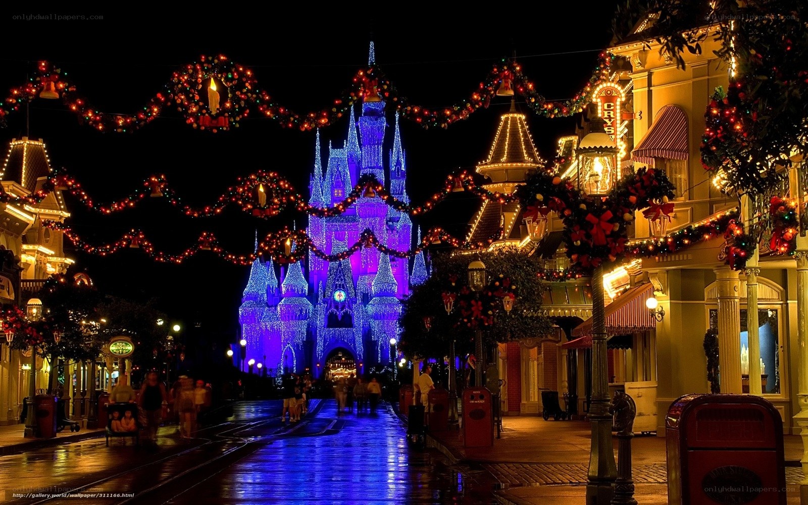 Cinderella Castle at night